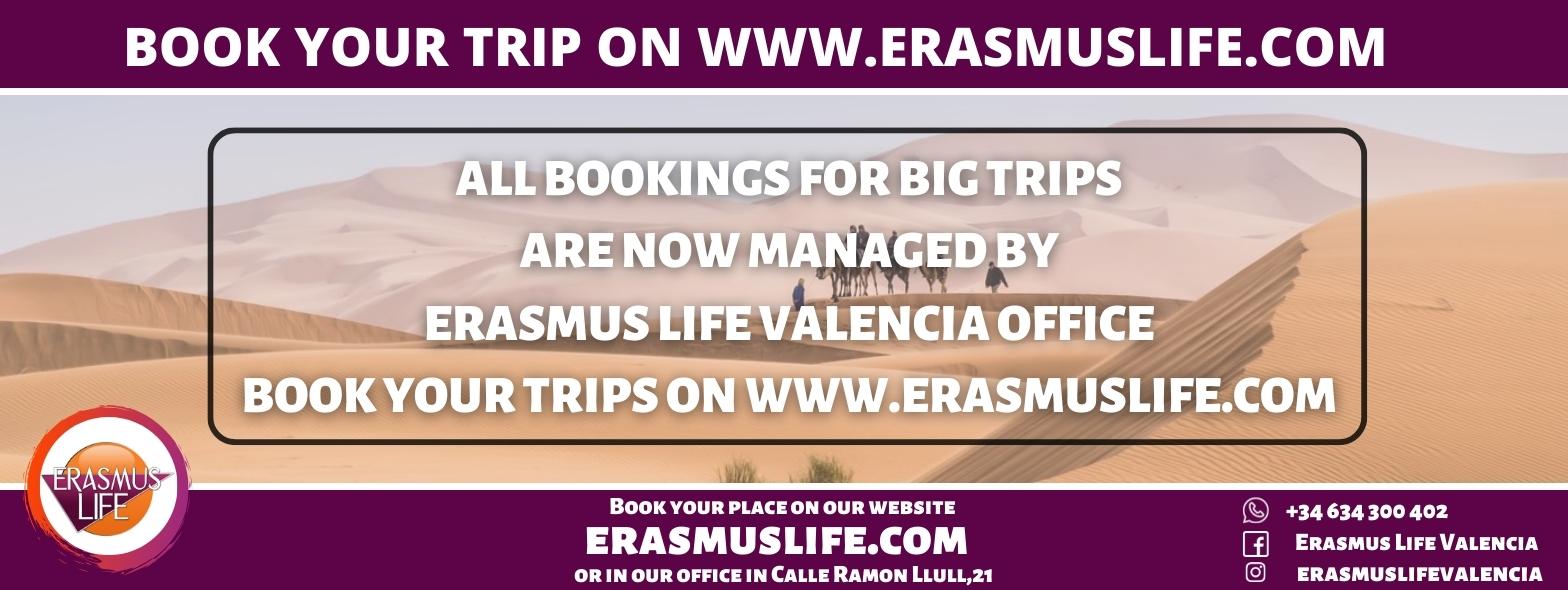 erasmus-murcia.com